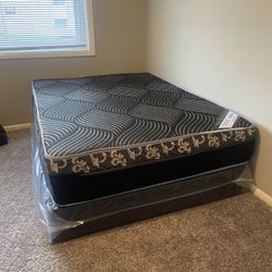 Queen Mattress Come With Free Box Spring - Free Delivery 🚚 Today To Reasonable Distance