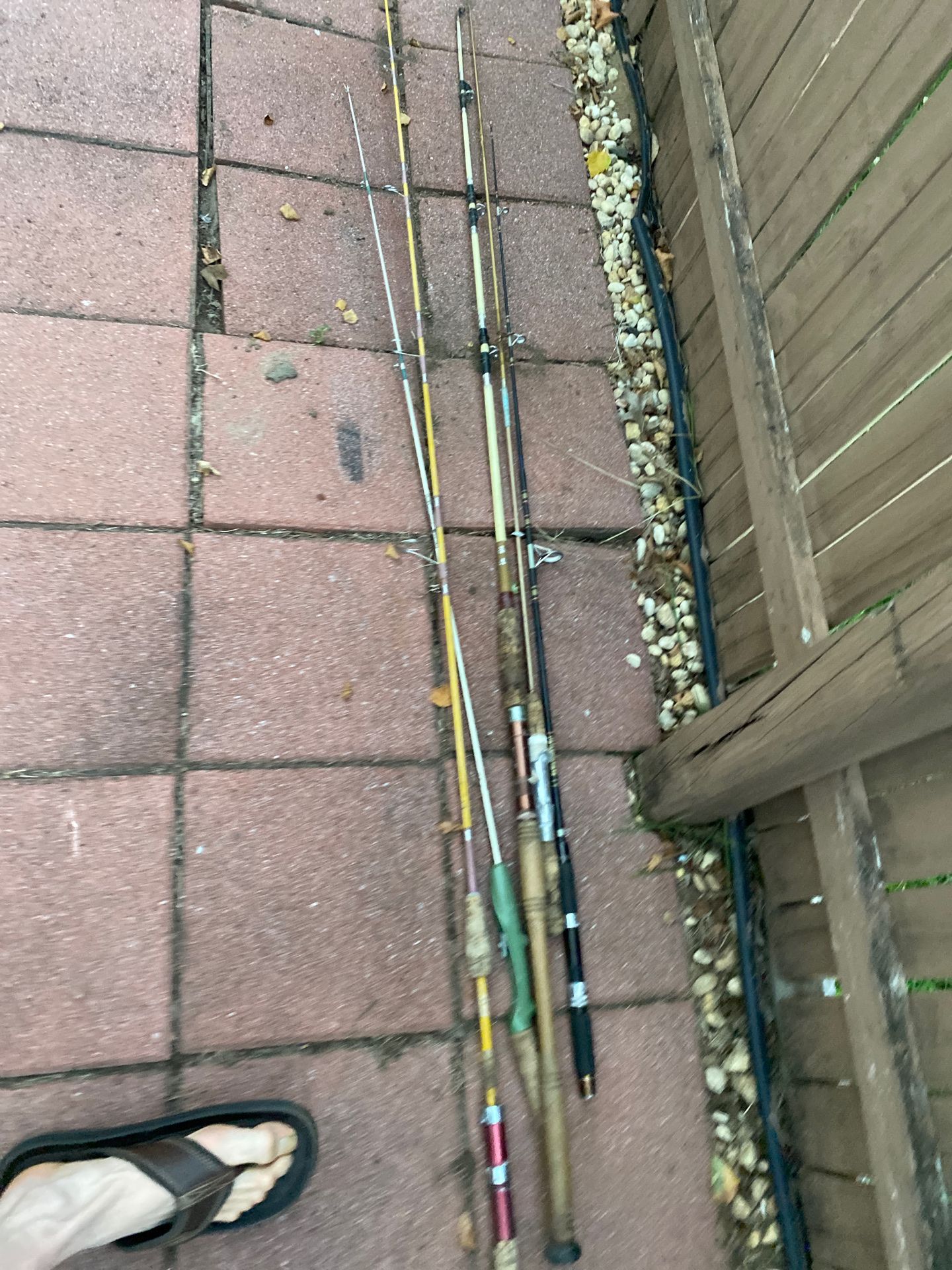 5 fishing rods