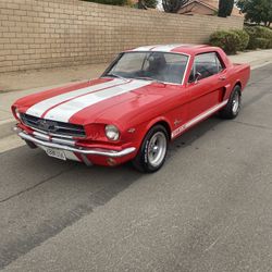Mustang 