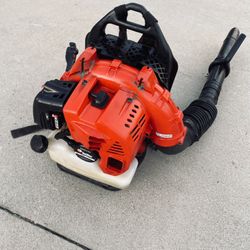 Commercial Gas Blower 