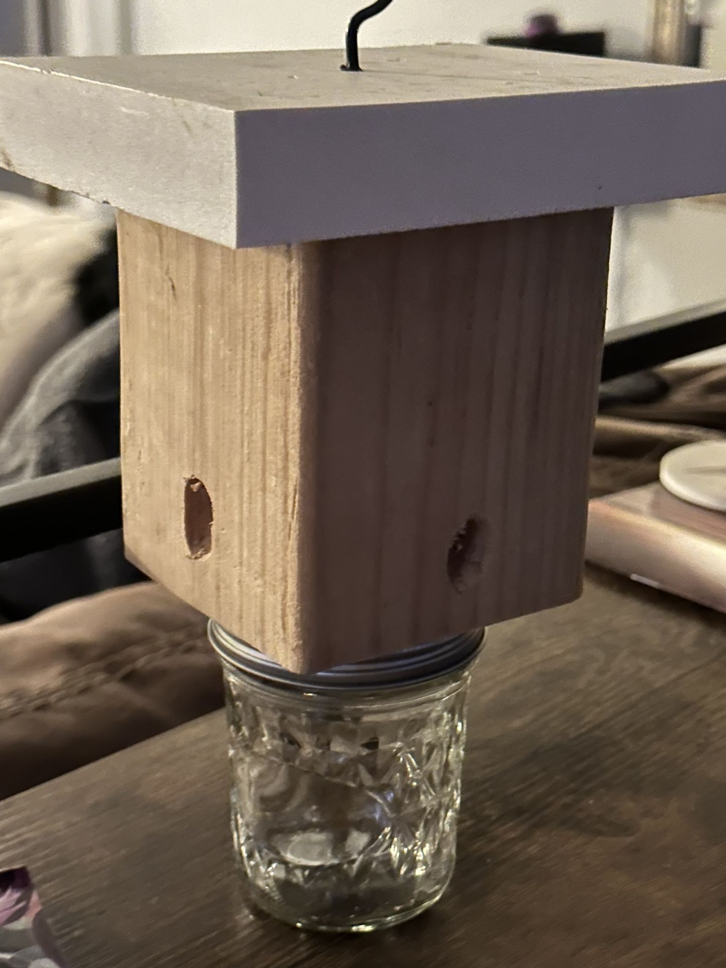 Carpenter Bee Traps
