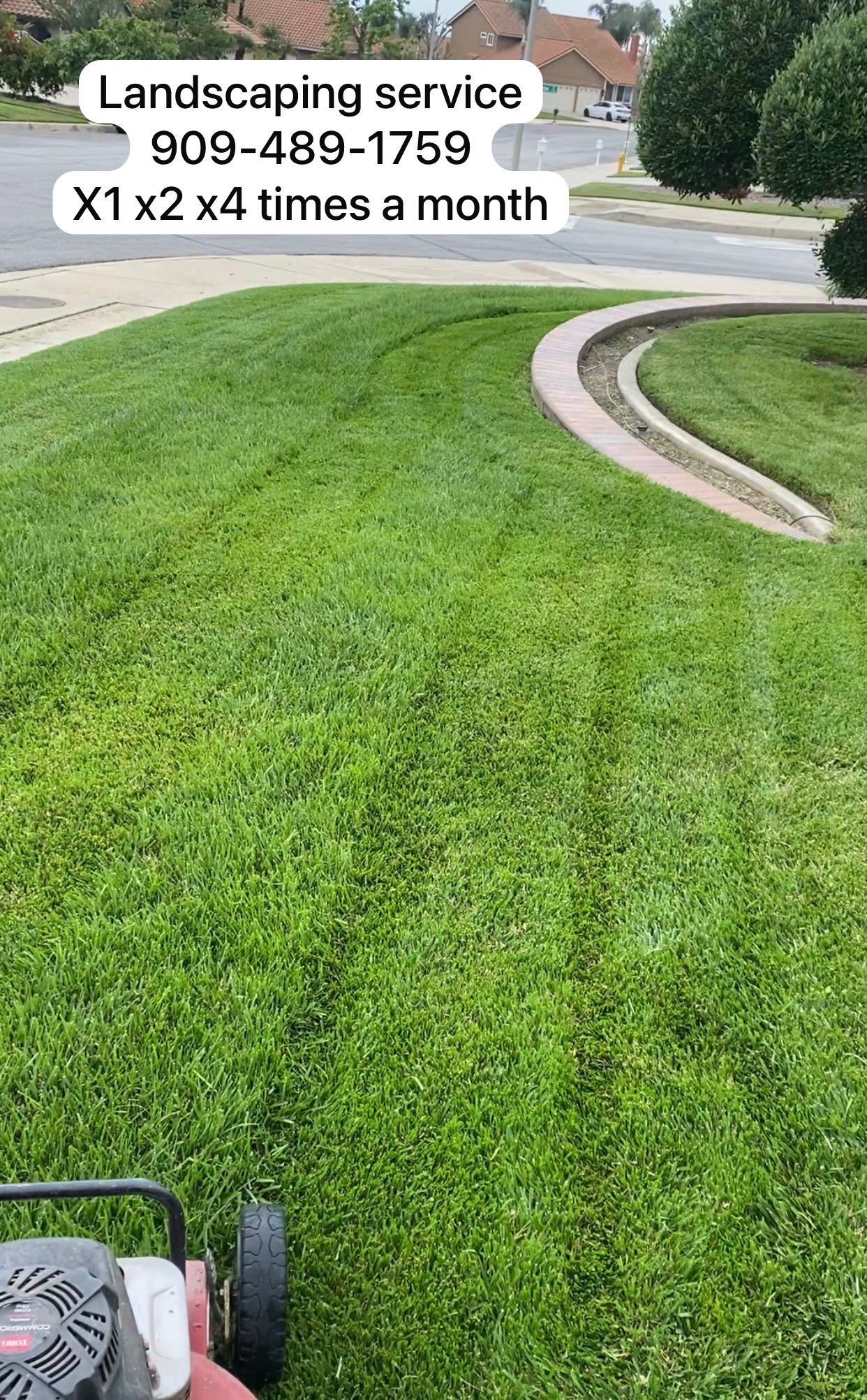 Cut Grass