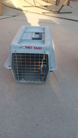 Pet Taxi For Travel.