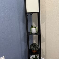 LED Floor Lamp