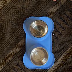 Dog Bowl