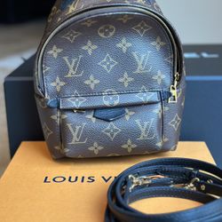 Louis Vuitton Lv Palm Springs Mini