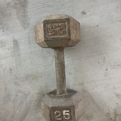 25lb Steel Dumbbell