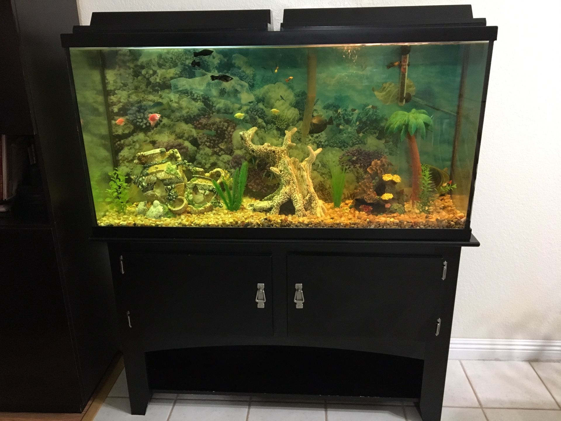 Fish tank