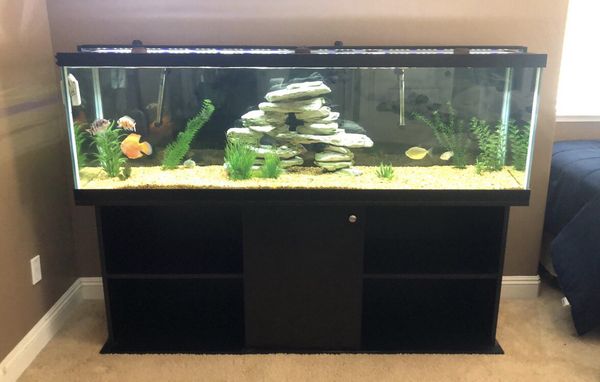 125 gallon aquarium (EVERYTHING included) for Sale in Visalia, CA - OfferUp