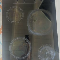 Whirlpool Electric cooktop