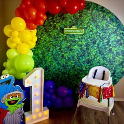 Balloon Garlands And Backdrops 