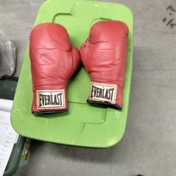 Boxing Gloves 14 Oz. Red 