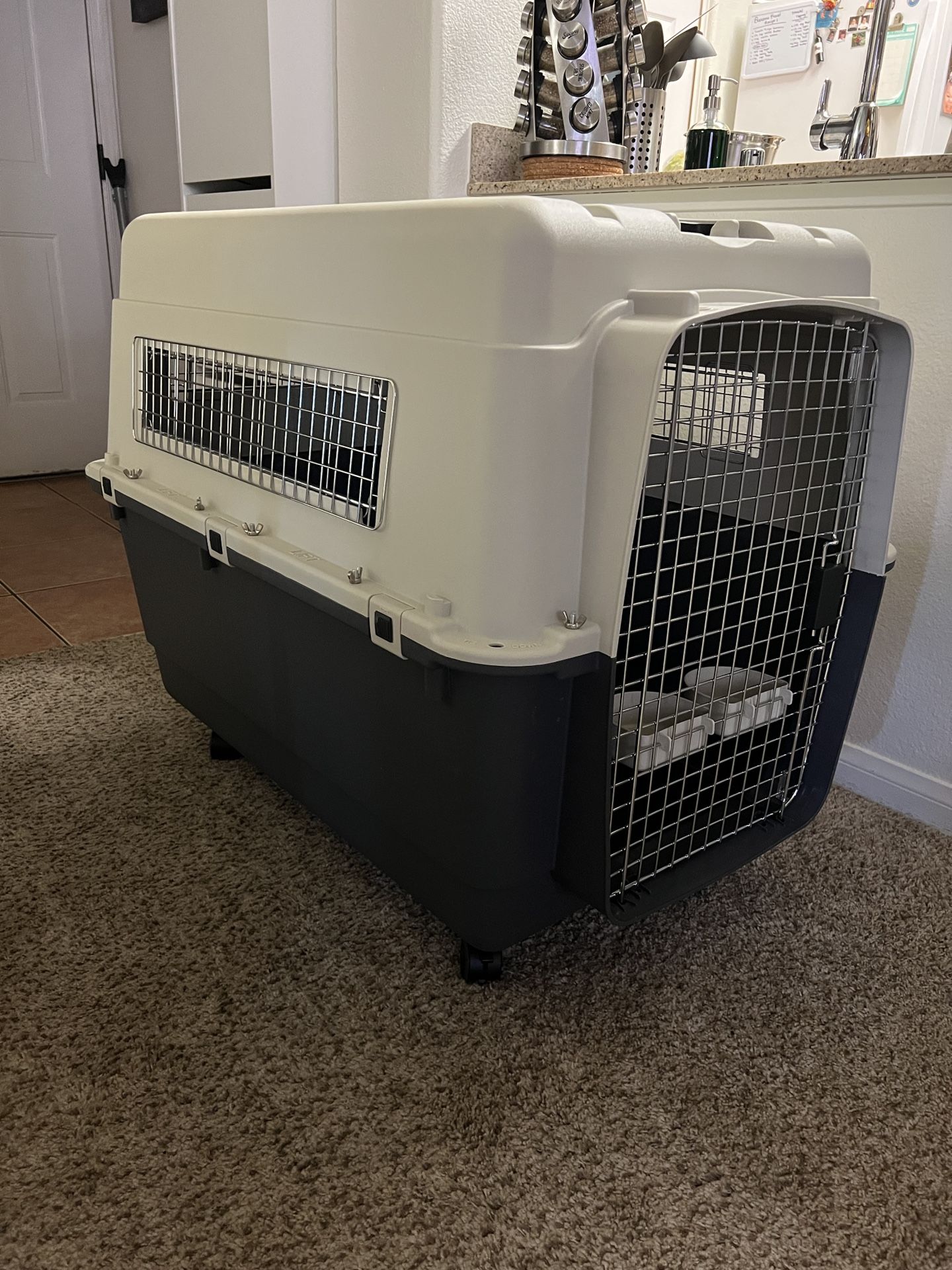 Big Dog Cage