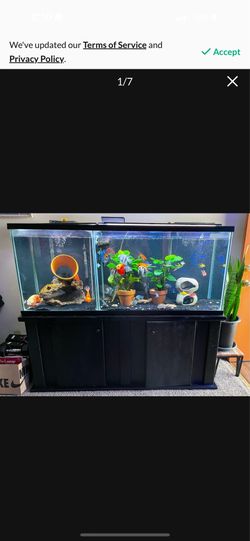Fish tank- 120 gallons