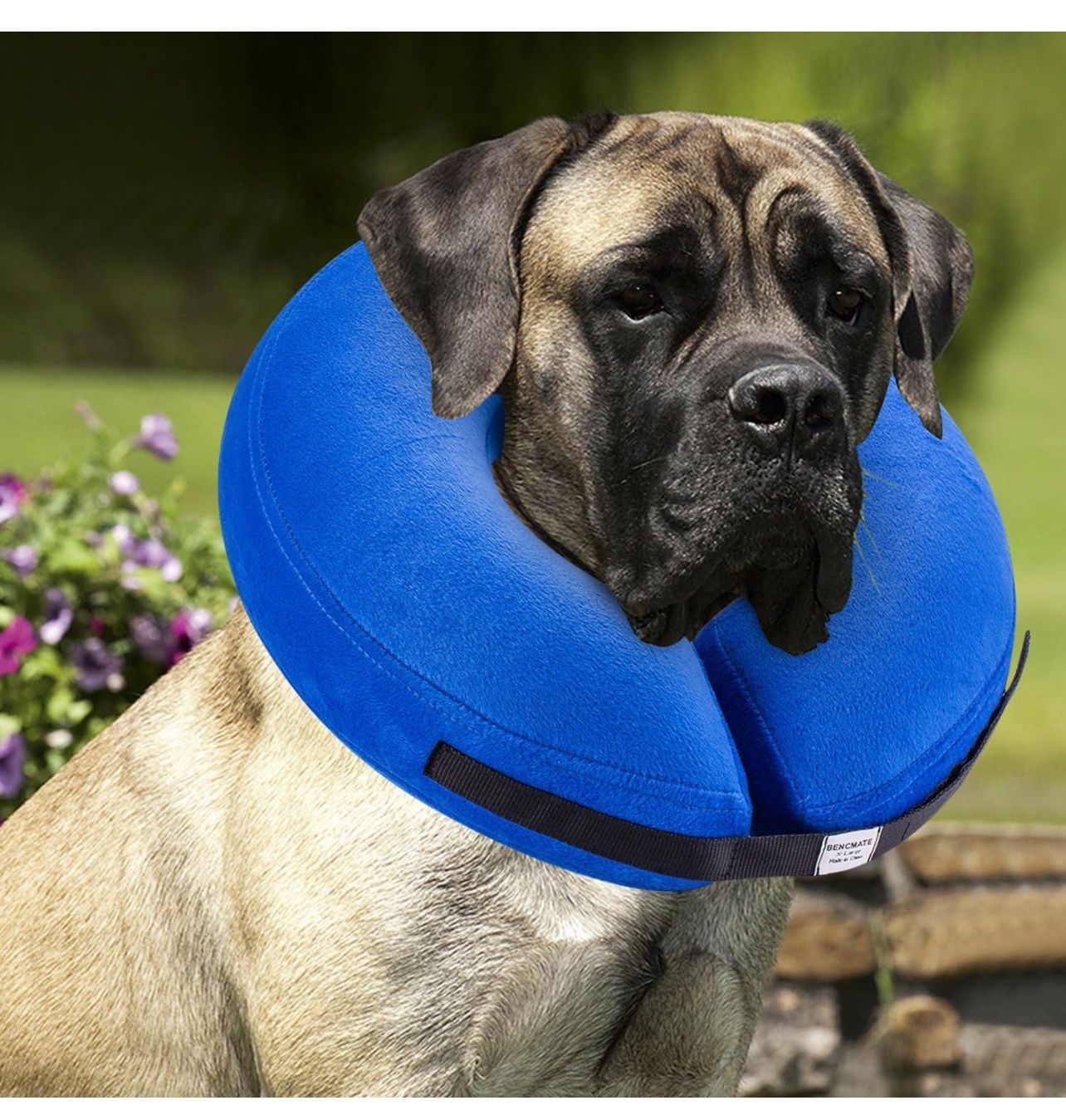 Bencmate Protective Inflatable Collar For Dogs XL