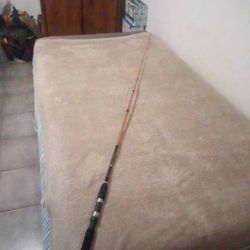 6'6" Daiwa D|Force