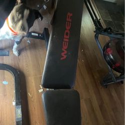 Weight Bench 