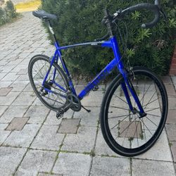 Tommasso Bike 