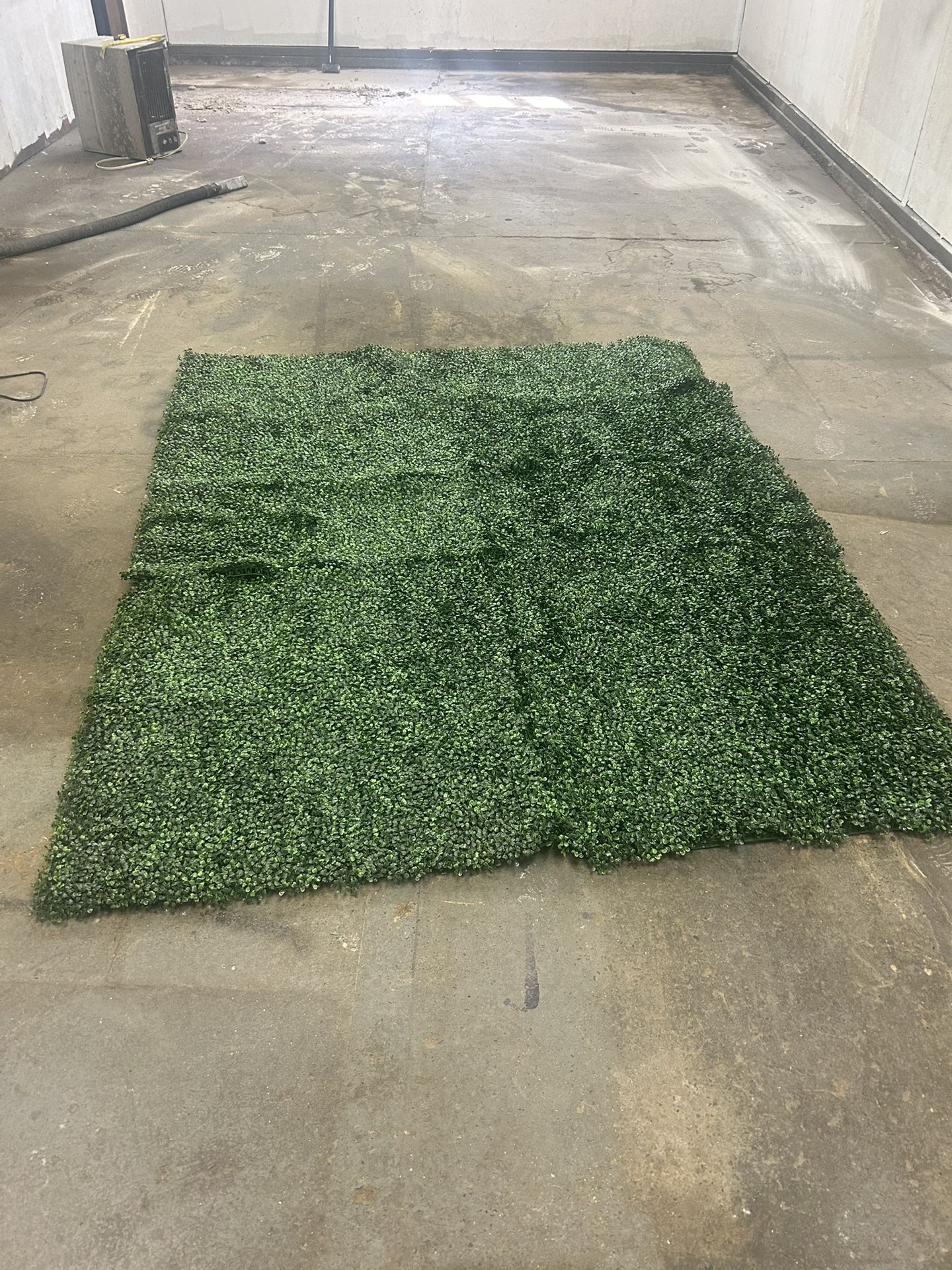 Greenery Wall