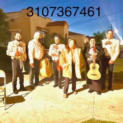 Violín De Mariachi 