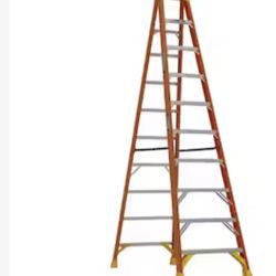 12 Feet Ladder 