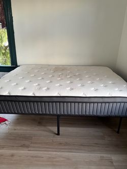 Free queen size bed