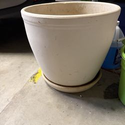 Plant Pots