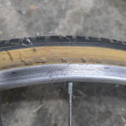 24 inch Mallard front wheel