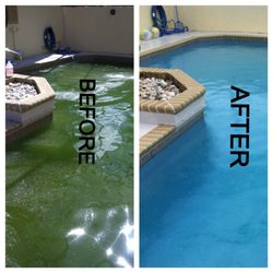 Pool Cleaning