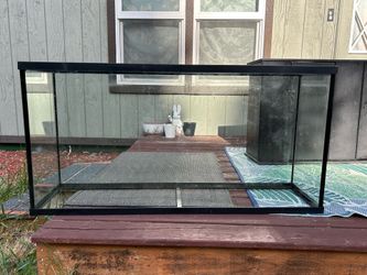Aquarium tank and supplies