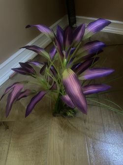 Fish Tank Decor