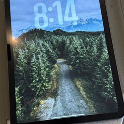 iPad Air 4th Gen W/ Cellular 