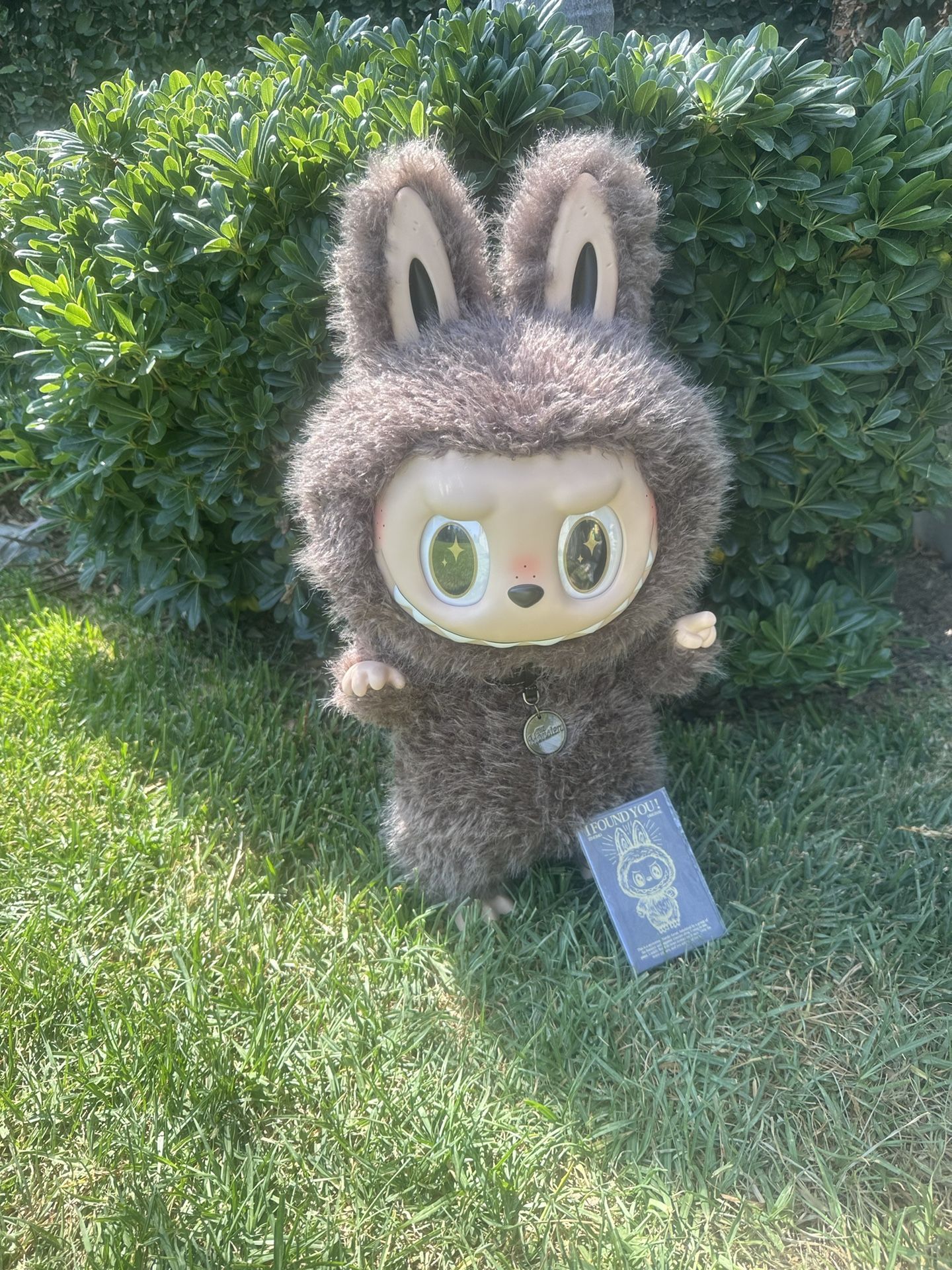 Zimomo (no Box)