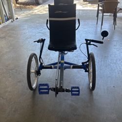 The Rover   TerraTrike