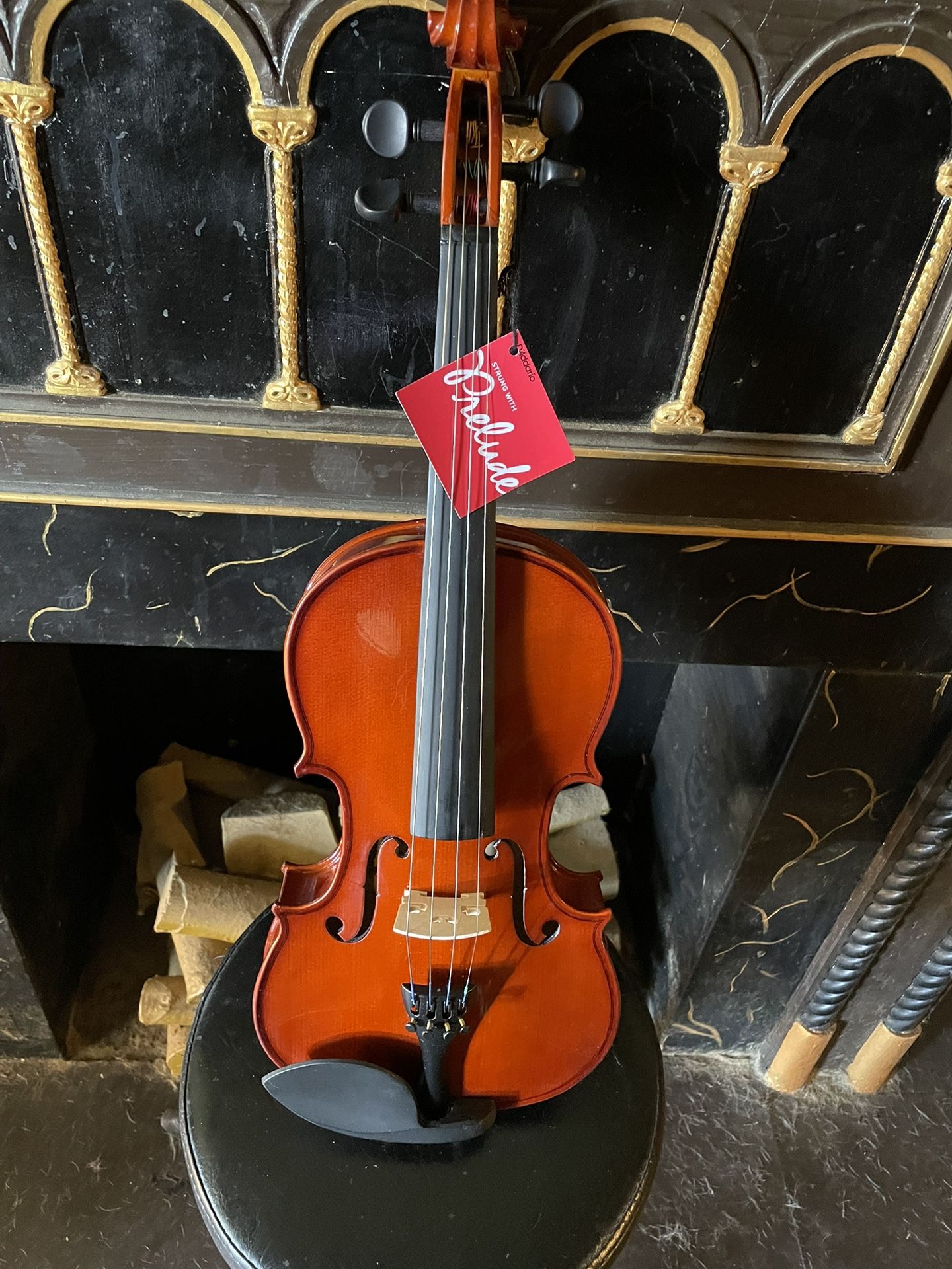 Brand New Violin And Case