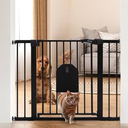 Babelio - Puerta de seguridad