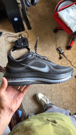 NIKES pegasis