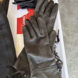 Motorcycle Gear 