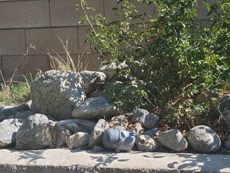 Free Rocks - Take Your Self