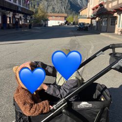 Stroller Wagon 
