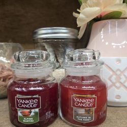 Yankee Candle Lot Of 2 Alpine Martini  Autumn In The Park 3.7 oz Jar Candles NLA
