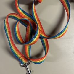 Rainbow dog leash 
