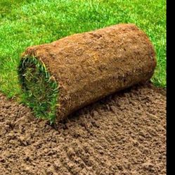 Perfect Time For Sod Installacion 