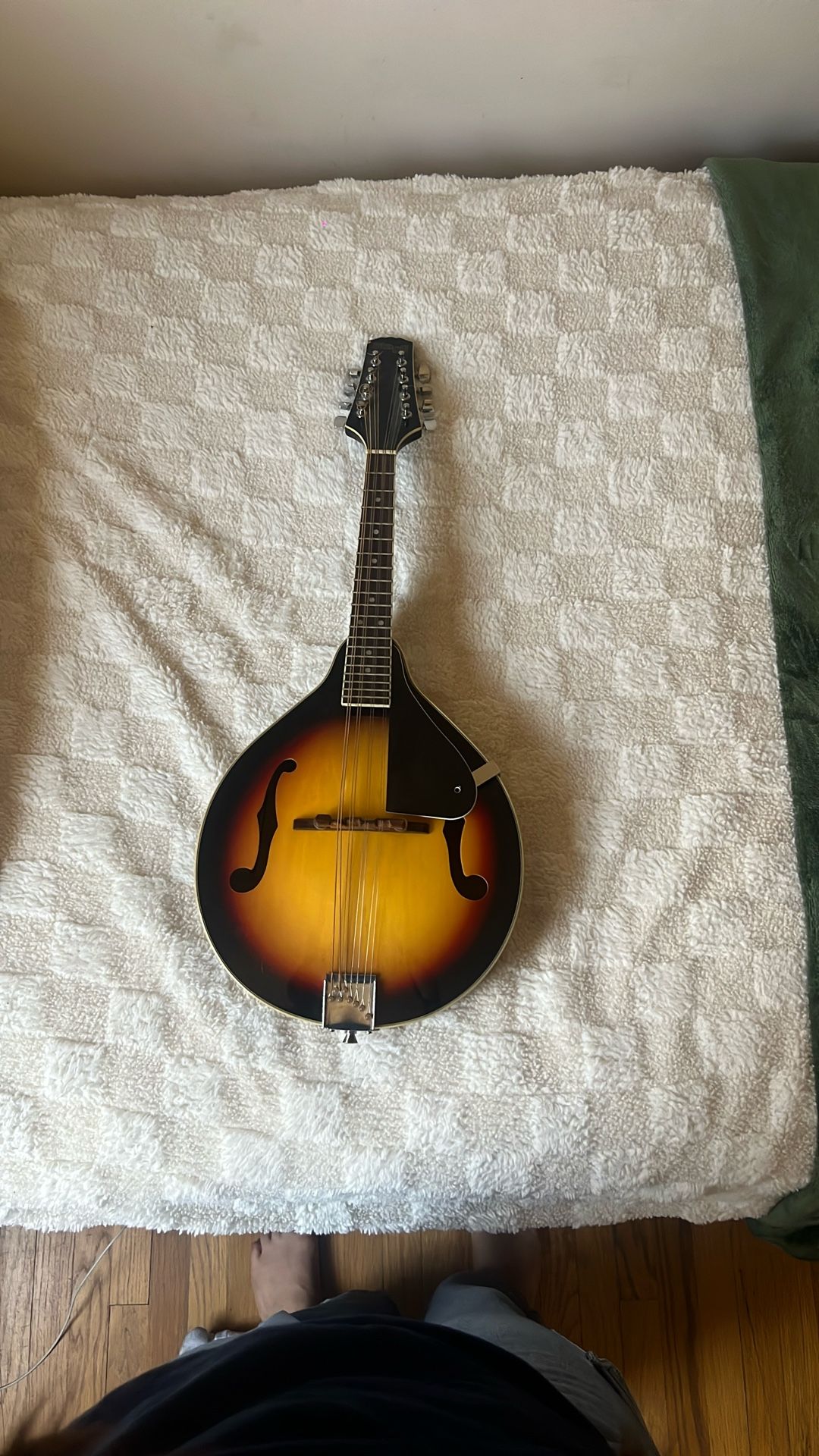 Used mandolin
