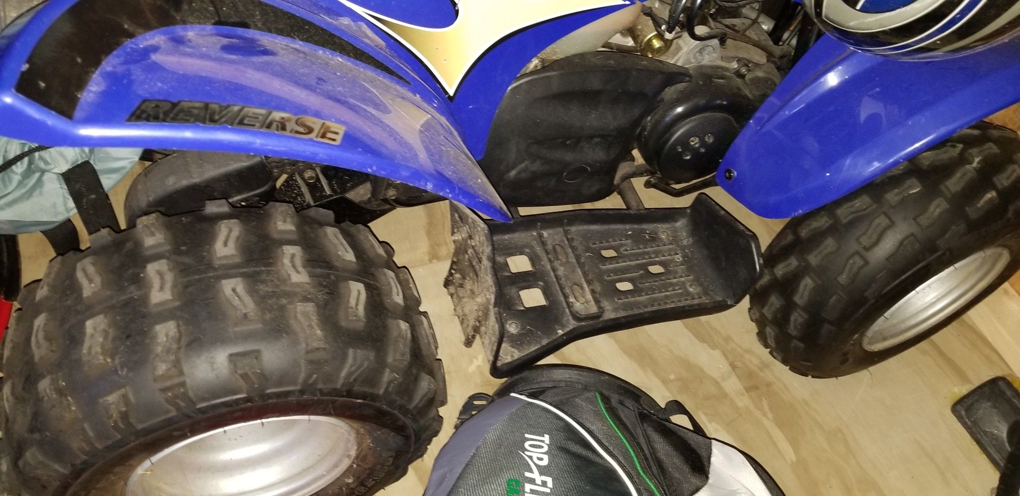 Eton viper 90R atv