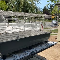 Rabbit Cage 