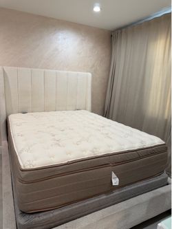 Contemporary Boucle Upholstered Bed Tufted Wing Back Headboard  Queen bed