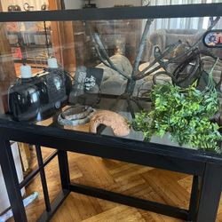 Terrarium 