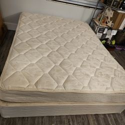 Queen Size Box Spring and Mattress