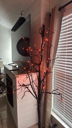 Halloween/Holiday lighted trees